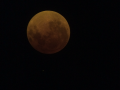 Blood Moon with Eyepiece Filter